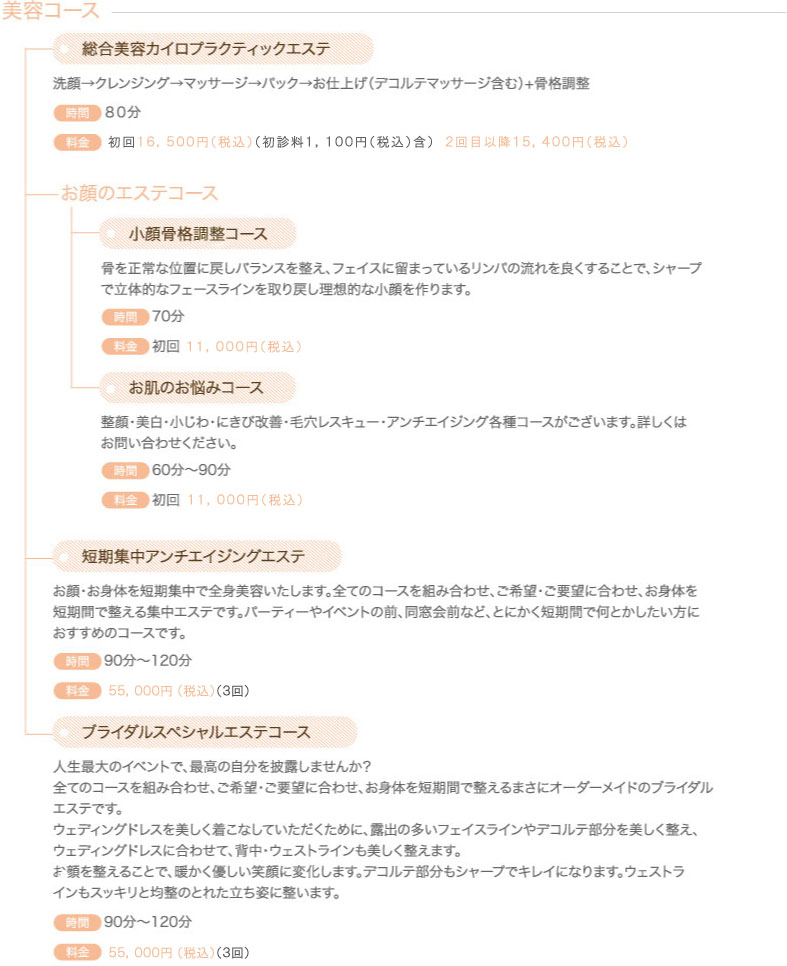 美容カイロコース