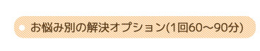 お悩み別解決オプション