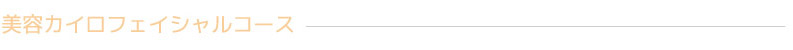 美容カイロ流れ