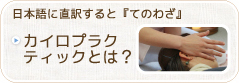 カイロプラクティックとは